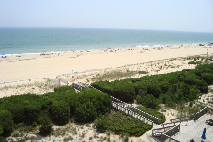 Balcony View